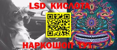 ПСИЛОЦИБИНОВЫЕ ГРИБЫ Будённовск