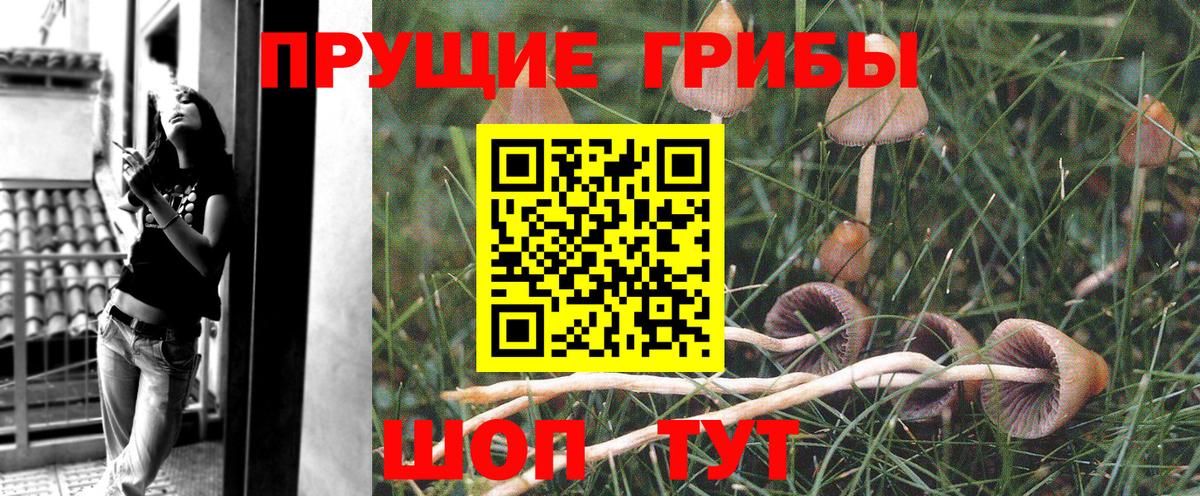 Галлюциногенные грибы GOLDEN TEACHER  цена наркотик  Артёмовский  Псилоцибиновые грибы GOLDEN TEACHER  Вход с VPN 